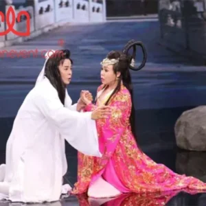 Cho Thuê Danh Hài Việt Hương