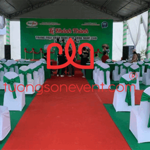 Cho thuê thảm đỏ sự kiện - Tường Sơn Event
