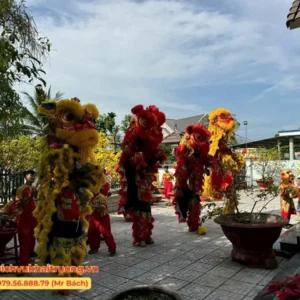 Dịch vụ múa lân tại Tường Sơn Event