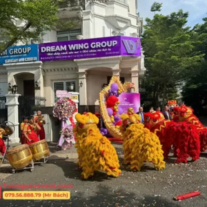 Báo giá dịch vụ khai trương công ty Dream Wing Group